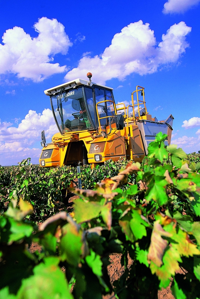  Visitez nos vignobles 