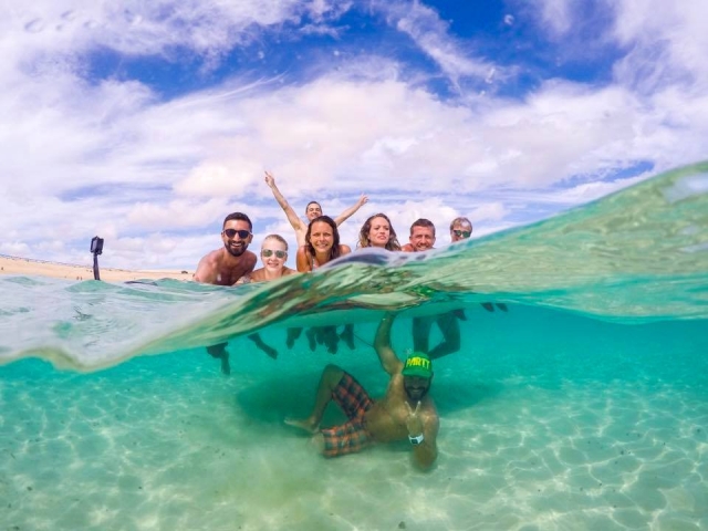  Dive with us 