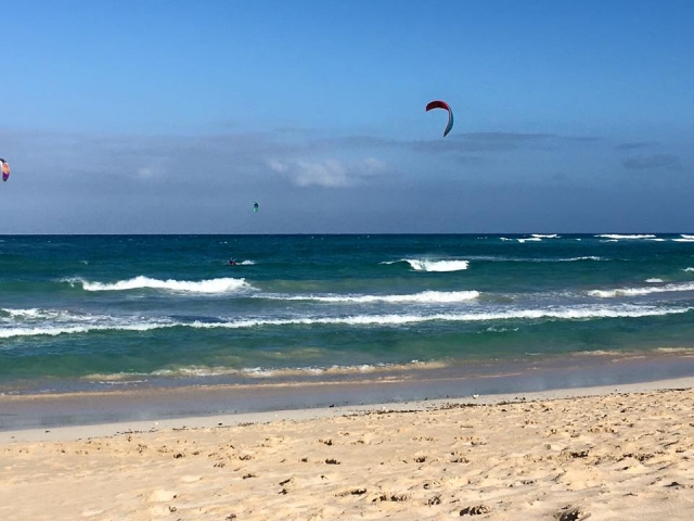  On the beach