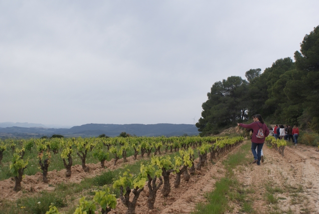 Frühlingsverkostung 