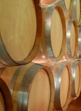 Recorre nuestras instalaciones