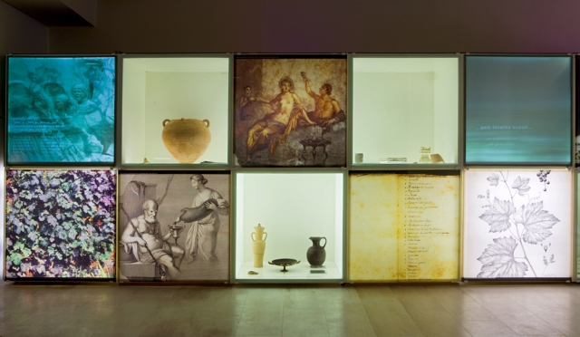 VINSEUM, vitrinas de la exposición