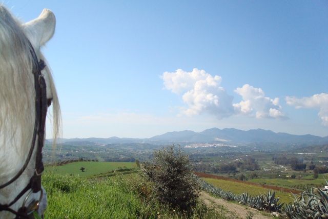  Guadalhorce Valley