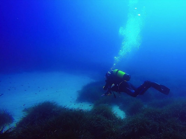 Inmersiones de buceo en Ibiza