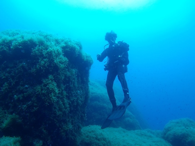 Haz un bautizo de buceo