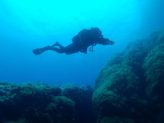 Buceo en las Baleares
