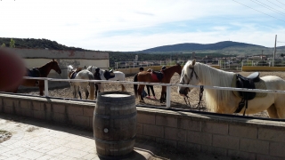 res_o-36066-rutas-a-caballo_de_luis-miguel-naranjo-munoz_14929317151608.jpeg