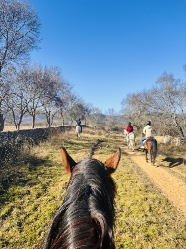 Bewertung von Rocío Über Reitroute durch die Sierra Norte de Buitrago, 1 Stunde
