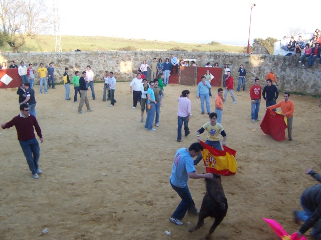 Diviértete en una capea