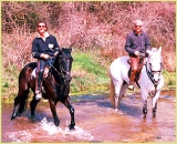 Con los mejores profesionales