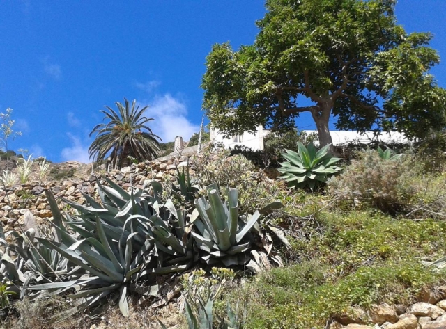 e-14034-paisaje-de-la-gomera15052246946835.jpg