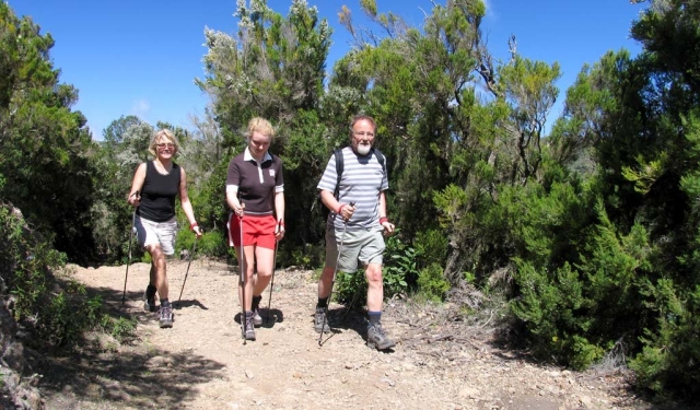 e-14034-timah-la-gomera215048542425857.jpg