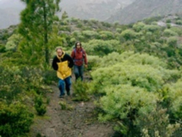 e-14566-caminos-unicos15100418281123.jpg