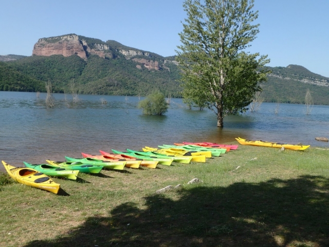 Kayaks para alquilar a pie de pantano