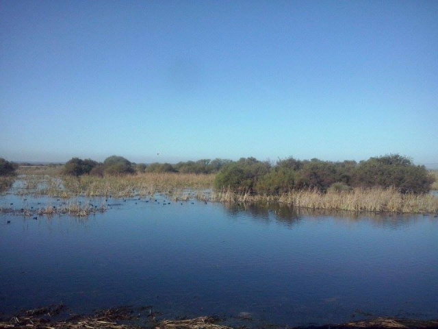 Humedales de Donana