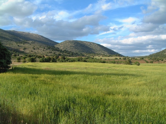  Campo verde 