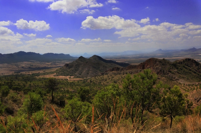  Paesaggio di Murcia 