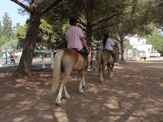 res_o-65625-rutas-a-caballo_de_jose-alberto-yuste-alvarez_img-20250826-114302_17567250742577.jpg