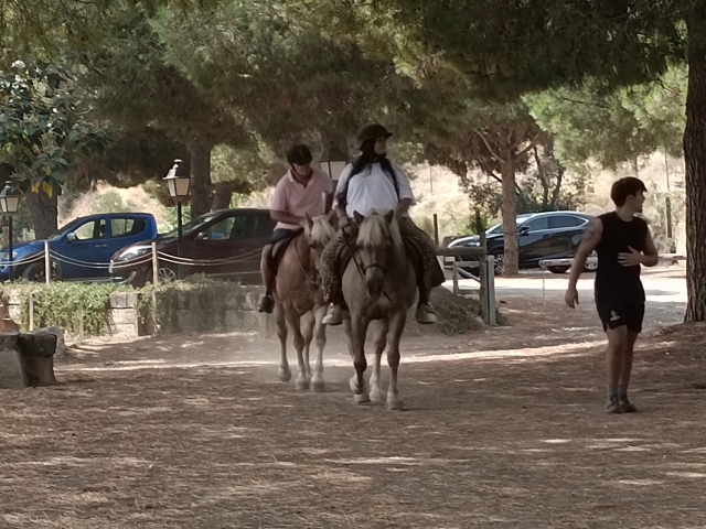Avis de Desiree concernant Route à cheval le long de la Senda de la Riera, 1 heure
