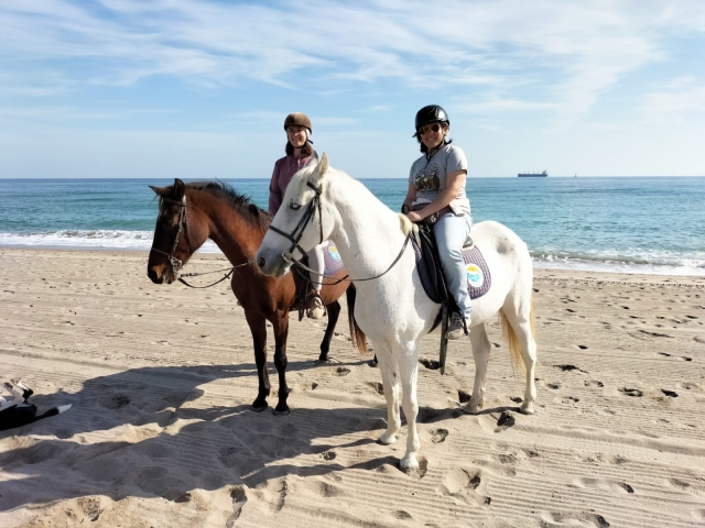 Opinión de Sarahiss sobre Paseo a caballo hasta la playa de Puerto Rey 2h