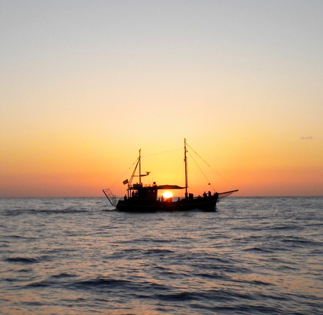  Bussard-Sonnenuntergang 