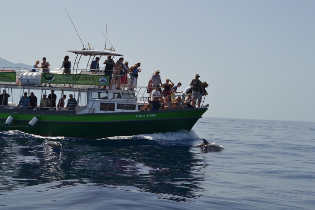  La Palma mit dem Boot bereisen 