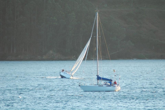Vela Ligera