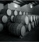 Sala para las barricas