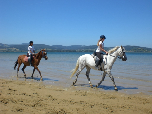paseando a caballo por la playa de Regaton