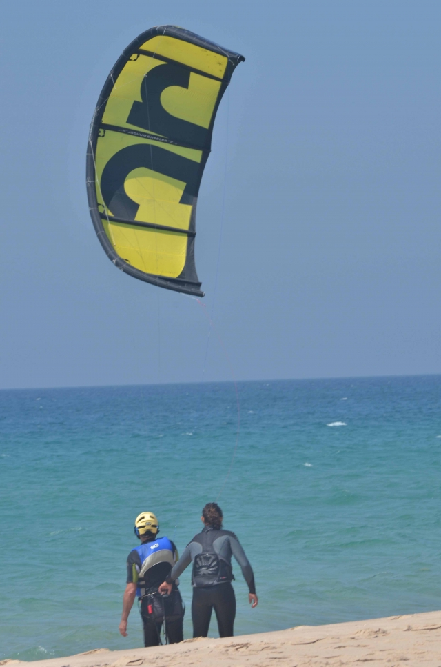  Kite on the beach 