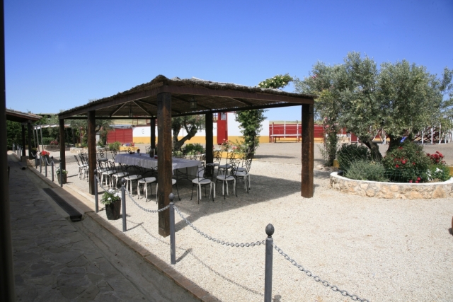 Terraza cubierta