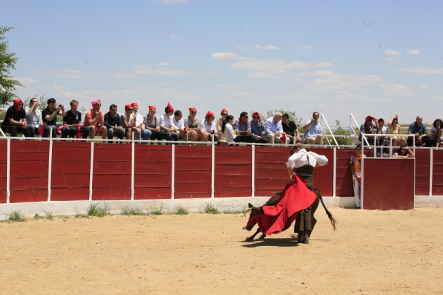 Toreando al novillo