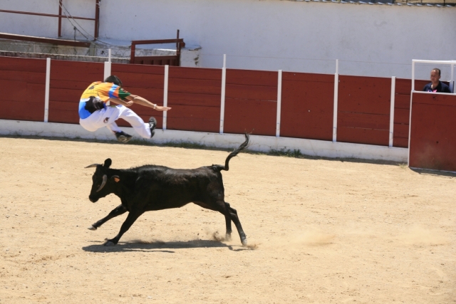 Recortador saltando al animal