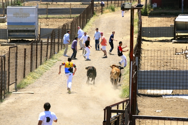 Encierro desde la finca