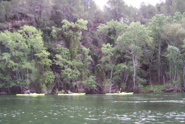 Una naturaleza diferente