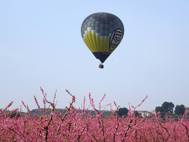 Vuelo en globo sobre frutales en flor
