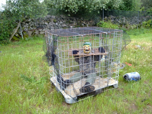 Prisionero de guerra