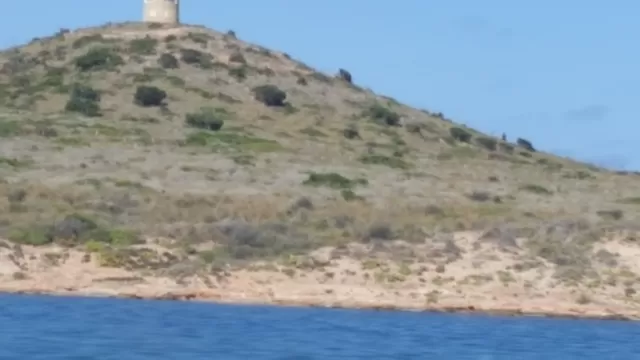 Opinión de David sobre Ruta chill out en barco en el Mar Menor, 2h adulto