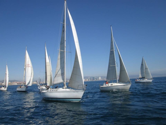 Regata de veleros