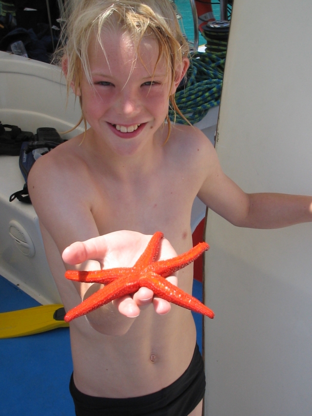 Estrella de Mar