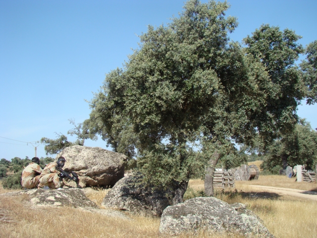  Ambientazioni naturali 