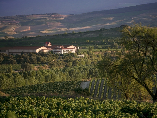 Nuestra finca rodeada de viñedos