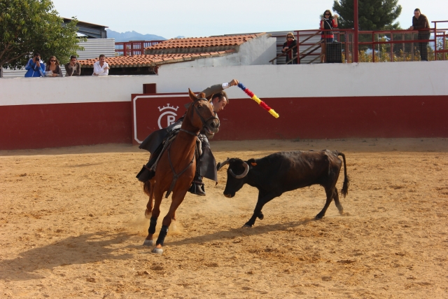  capea-10-November-2013-271-toros-y-capeas.jpg 