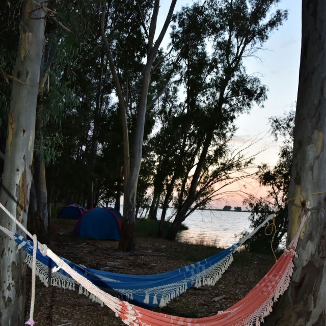  享受河流的宁静 