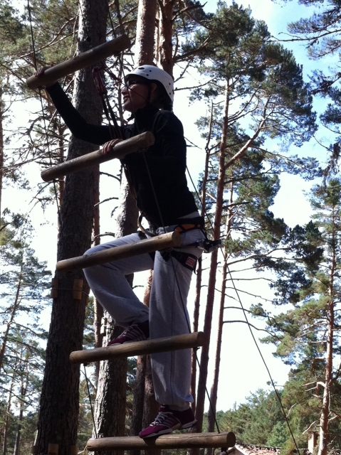  Ladder 