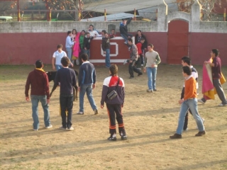 Celebracion de una capea