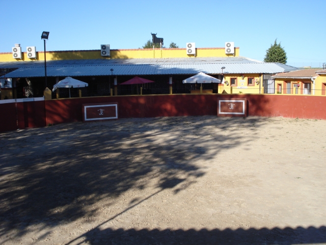El coso taurino