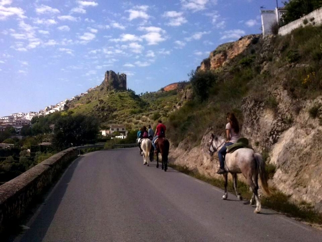 A la orilla de la carretera con los caballos