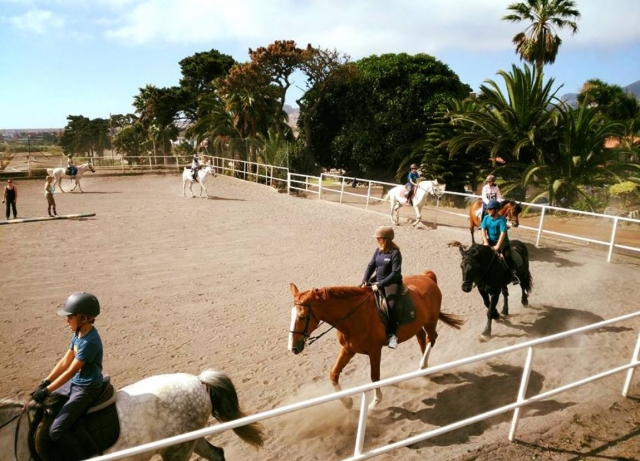 e-19625455-equitacion-infantil-en-pista15193923334748.jpg