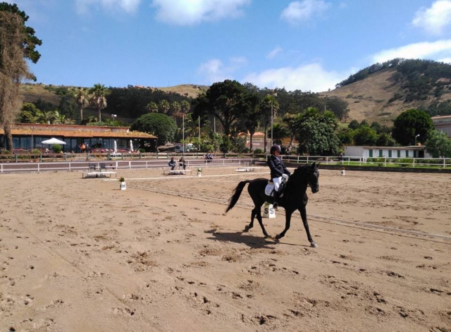 e-19625455-equitacion-profesional-en-tenerife15193923341817.jpg